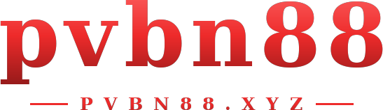 pvbn88 logo